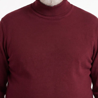 Riccardo | Jersey Fino de Cuello Alto