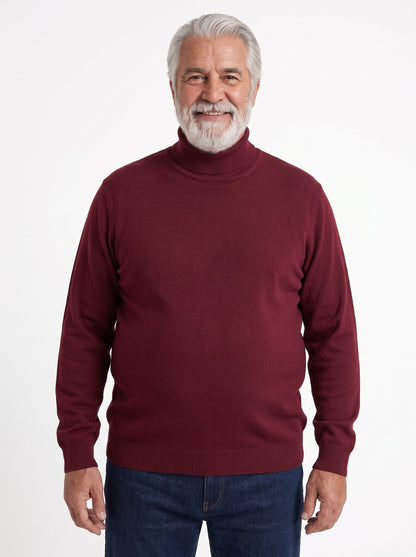 Riccardo | Jersey Fino de Cuello Alto